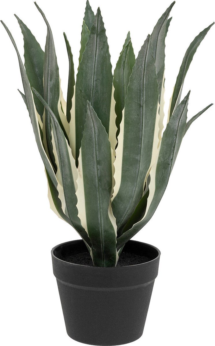 Atmosphera Kunstplant - Amerikaanse Agave met pot - Ø35xH55cm - Groen Vert