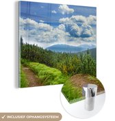 MuchoWow® Glasschilderij 20x20 cm - Schilderij acrylglas - Bos - Pad - Berg - Foto op glas - Schilderijen