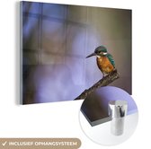 MuchoWow® Glasschilderij 180x120 cm - Schilderij acrylglas - IJsvogel fotoprint - Foto op glas - Schilderijen