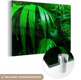 Peinture sur Verre - Palmiers dans la Jungle - 180x120 cm - Peintures sur Verre Peintures - Photo sur Glas