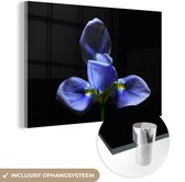 MuchoWow® Glasschilderij 60x40 cm - Schilderij acrylglas - Iris voor zwarte achtergrond - Foto op glas - Schilderijen