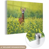 MuchoWow® Glasschilderij 60x40 cm - Schilderij acrylglas - Ree in een veld vol bloemen - Foto op glas - Schilderijen