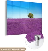 MuchoWow® Glasschilderij 80x60 cm - Schilderij acrylglas - Boom - Paars - Lucht - Lavendel - Foto op glas - Schilderijen