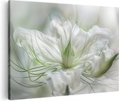 Artaza Canvas Schilderij Witte Bloem met een Onscherpe Achtergrond - 60x40 - Wanddecoratie - Foto Op Canvas - Canvas Print