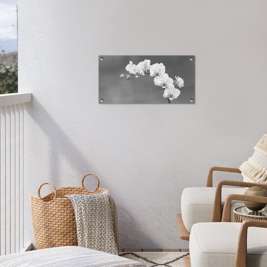 Poster de jardin Orchidée - Fleurs - Plante - Wit - Violet - 60x30 cm - Toile jardin - Poster extérieur