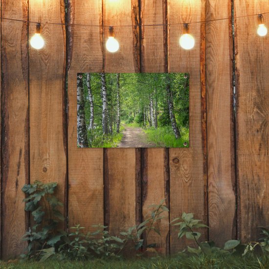 Tuindecoratie Bos - Bomen - Berk - 60x40 cm - Tuinposter - Tuindoek - Buitenposter
