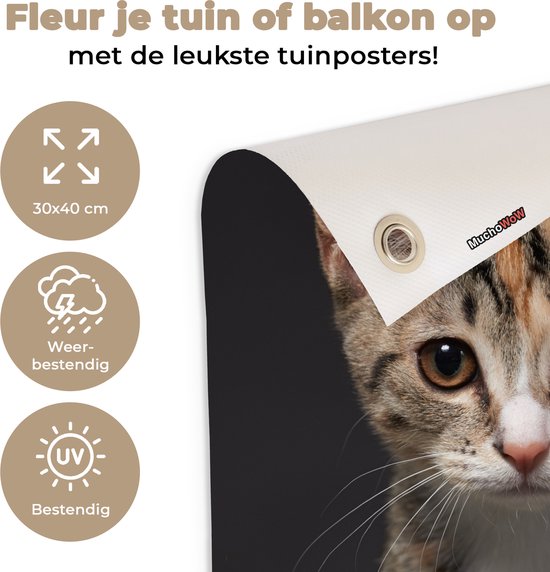 Tuinposter 30x40 cm - Tuindecoratie Kat - Zwart - Portret - Poster voor in de tuin - Buiten decoratie - Schutting tuinschilderij - Tuindoek muurdecoratie - Wanddecoratie balkondoek