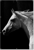 Muurdecoratie Paarden - Dieren - Portret - 120x180 cm - Tuinposter - Tuindoek - Buitenposter