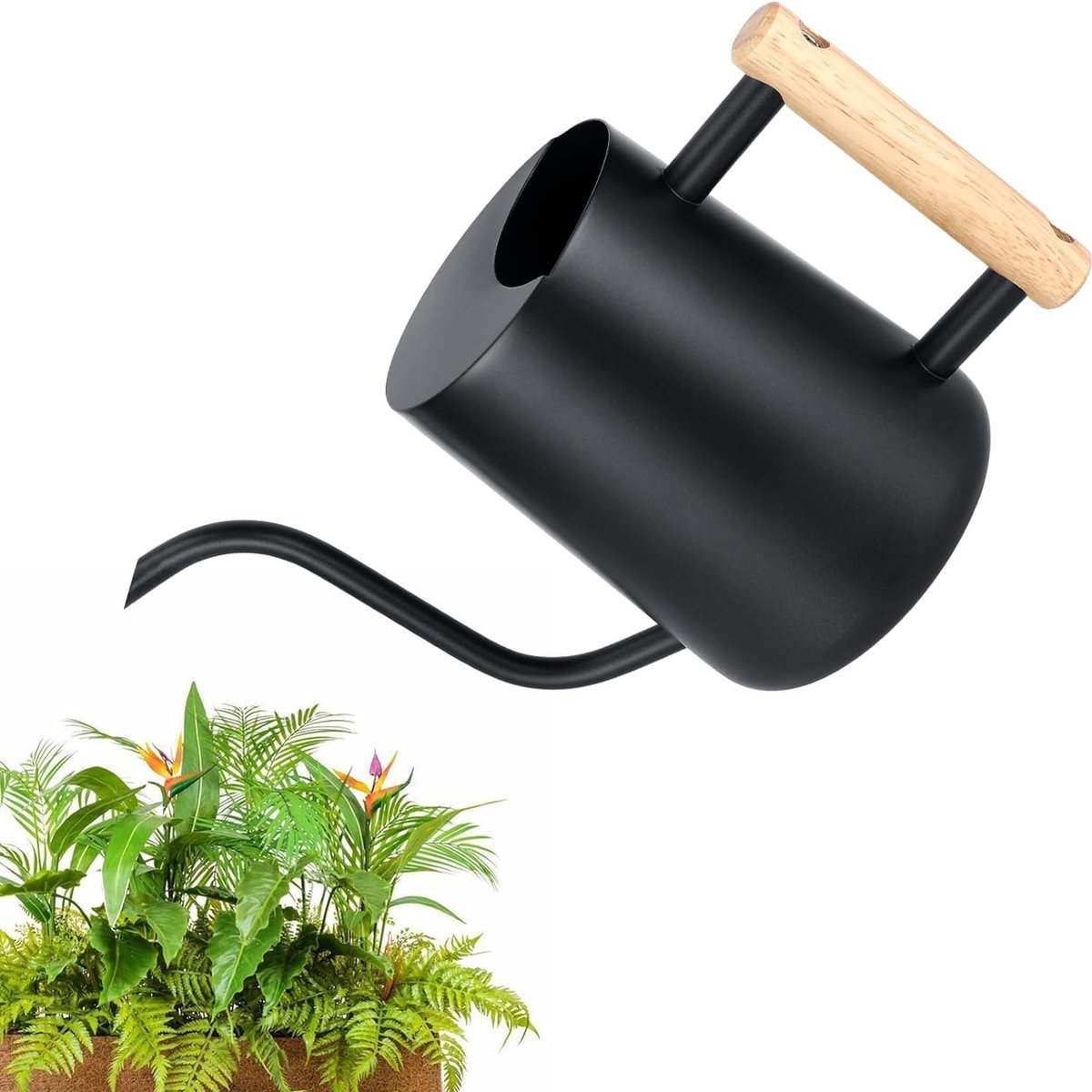 Gieter kamerplanten, 1 l, roestvrij staal, lange uitloop, gieter comfortabel houten handvat, moderne irrigatiepot voor vetplanten, voor balkon, kantoor, woonkamer (zwart)
