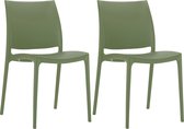 CLP Maya Set van 2 Stoelen oliv