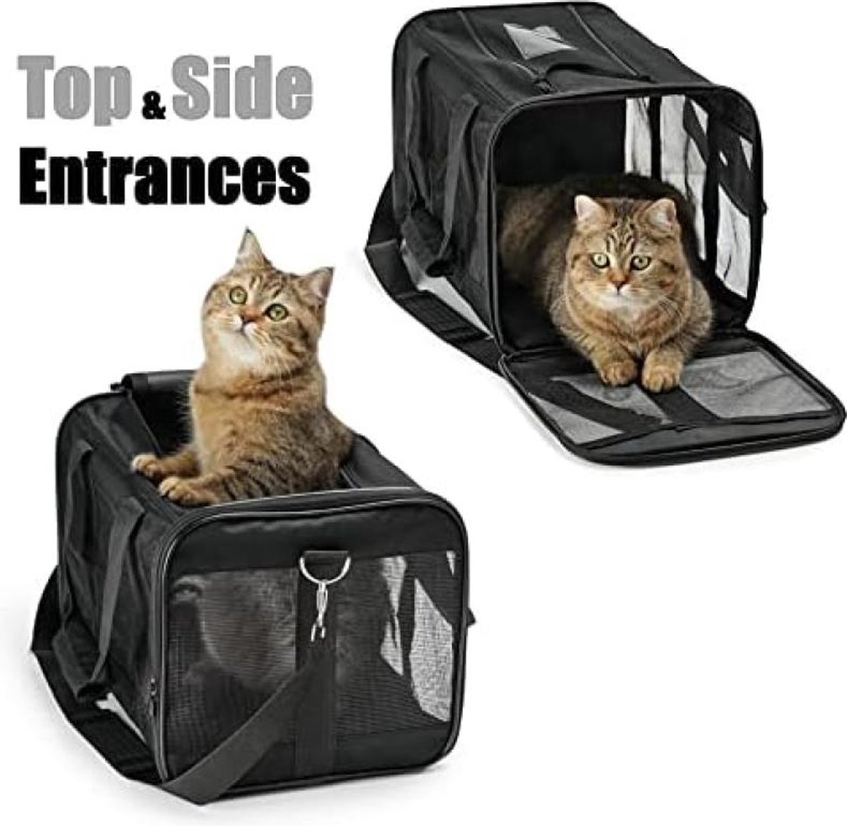 Gardner Pet Kattendrager met wielen, rollende huisdierendrager voor kleine katten en honden, luchtvaartmaatschappij goedgekeurde kattendrager zacht, ademend gaas, uitbreidbaar, BPA-vrij, reisdrager Gardner Pet Kattendrager met wielen, rollende huisdierendrager voor kleine katten en honden, luchtvaartmaatschappij goedgekeurde kattendrager zacht, ademend gaas, uitbreidbaar, BPA-vrij, reisdrager