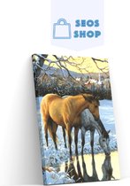 SEOS Shop ® Diamond Painting Volwassenen - Diamond Painting Kinderen - Diamond Painting Pakket Volledig - Paarden drinken water - 25x30cm