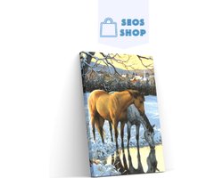 SEOS Shop ® Diamond Painting Volwassenen - Diamond Painting Kinderen - Diamond Painting Pakket Volledig - Paarden drinken water - 25x30cm