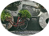 WallClassics - PVC Schuimplaat Ovaal - Rode Fiets versierd met Planten tegen Stenen Muur - 108x81 cm Foto op Ovaal (Met Ophangsysteem)