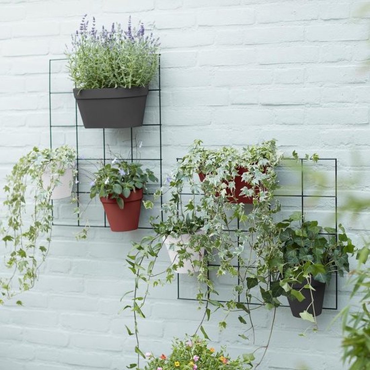 Elho Loft Urban Green Wall Pot Single 15 - Pot de fleurs pour l'extérieur