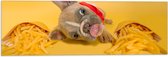 WallClassics - Vlag - Hondje tussen Frietjes met Gele Achtergrond - 60x20 cm Foto op Polyester Vlag