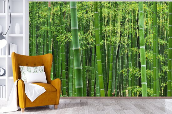 Papier peint - Papiers Papier peint photo - Forêt de bambous - Largeur 390 cm x Hauteur 260 cm
