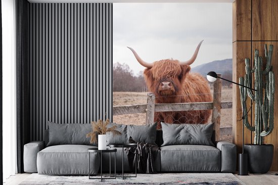 Behang - Fotobehang Schotse Hooglander - Gras - Hek - Breedte 160 cm x hoogte 220 cm