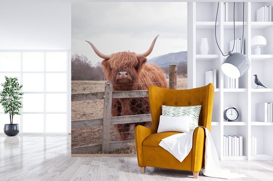 Behang - Fotobehang Schotse Hooglander - Gras - Hek - Breedte 160 cm x hoogte 220 cm