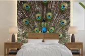 Behang - Fotobehang Pauw - Kleuren - Veren - Breedte 350 cm x hoogte 350 cm