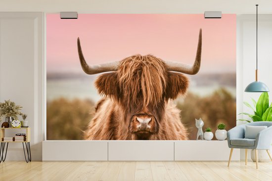 Papier peint - Papier peint photo Vache - Highlander écossais - Animal - Largeur 525 cm x hauteur 350 cm