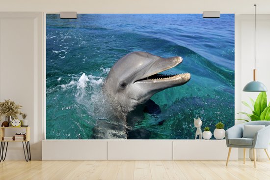 Papier peint photo peint photo vinyle - Verre curieux largeur 330 cm x hauteur 220 cm - Tirage photo sur papier peint (disponible en 7 tailles)