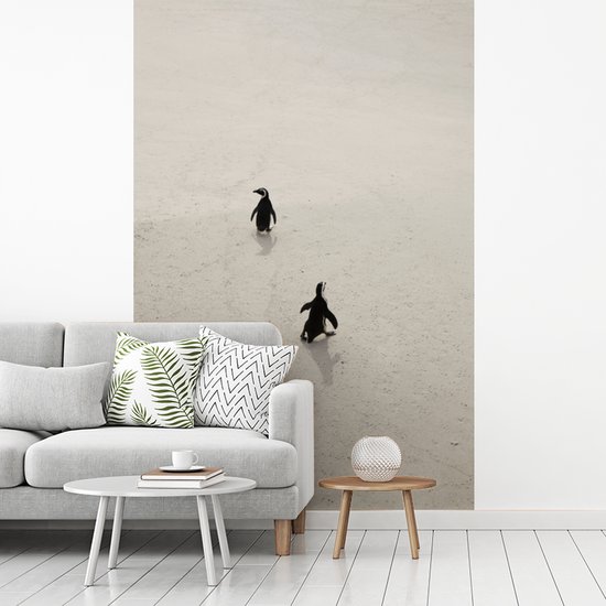 Papier peint - Papier peint photo Deux pingouins marchent sur le sable en Afrique du Afrique - Largeur 170 cm x hauteur 260 cm