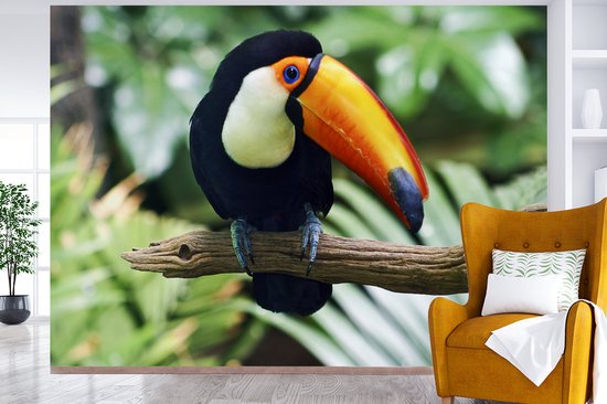 Papier peint Papier peint photo en vinyle - Toucan dans un zoo de New York largeur 330 cm x hauteur 240 cm - Tirage photo sur papier peint (disponible en 7 tailles)