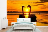 Behang - Fotobehang Zwanen - Zonsondergang - vogel - Oranje - Water - Breedte 320 cm x hoogte 240 cm