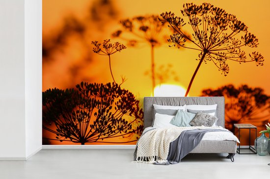 Behang - Fotobehang Planten - Bloemen - Zonsondergang - Oranje - Breedte 405 cm x hoogte 260 cm