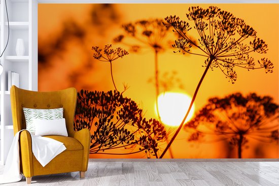 Behang - Fotobehang Planten - Bloemen - Zonsondergang - Oranje - Breedte 405 cm x hoogte 260 cm