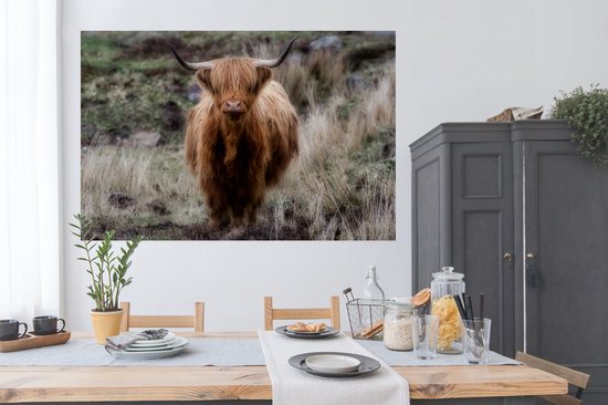 Poster Highlander écossais au museau rose papier 180x120 cm - Tirage photo sur Poster (décoration murale salon / chambre) / Poster Animaux sauvages XXL / Groot format!