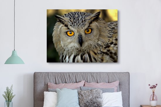Photo d'une toile européenne hibou grand-duc d'Asie 160x120 cm - Tirage photo sur toile (Décoration murale salon / chambre) XXL / Groot format!