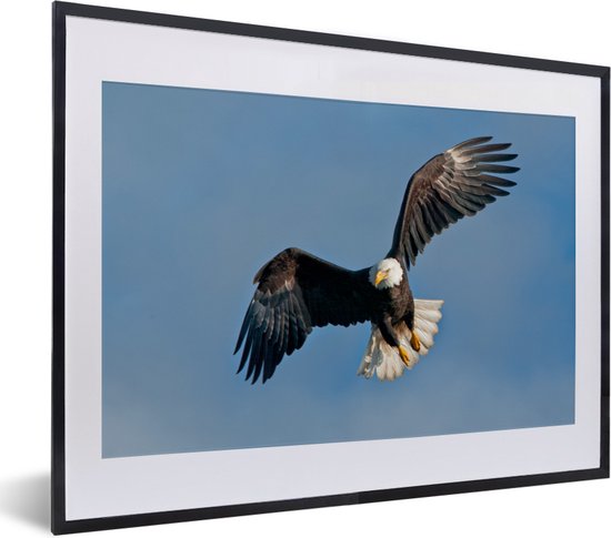 Fotolijst incl. Poster - Een Amerikaanse zeearend in een blauwe hemel - 40x30 cm - Posterlijst