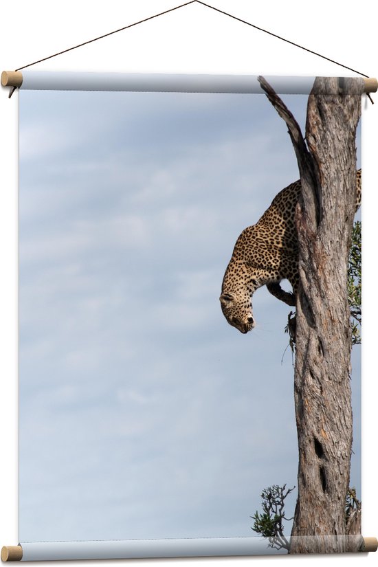 WallClassics - Affiche textile - Léopard dans un arbre brun - 60x80 cm Photo sur textile