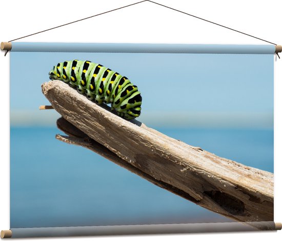 WallClassics - Affiche Textile - Chenille Verte sur une Branche - 90x60 cm Photo sur Textile