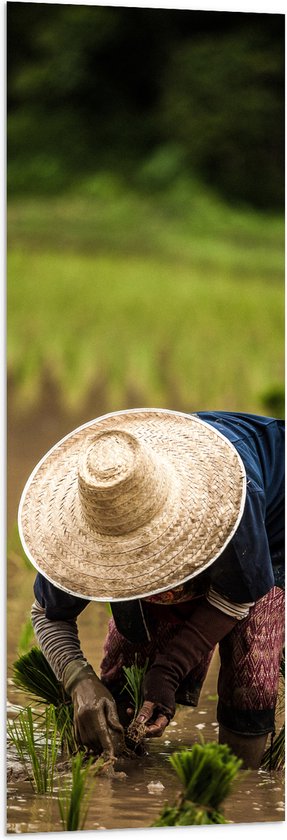 WallClassics - Drapeau - Agriculteur asiatique cueillant du riz - Photo 40 x 120 cm sur drapeau en polyester