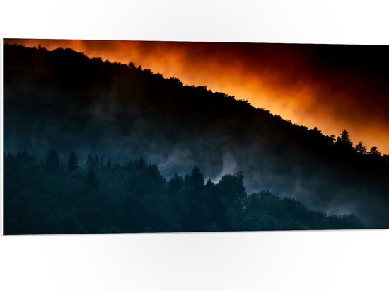 WallClassics - PVC Schuimplaat - Grote Bosbrand achter Berg - 100x50 cm Foto op PVC Schuimplaat (Met Ophangsysteem)