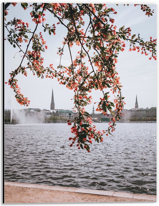 Dibond - Roze Bloementjes bij het Water - 30x40 cm Foto op Aluminium (Wanddecoratie van metaal)