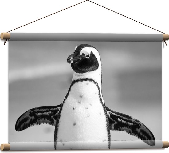 WallClassics - Textielposter - Pingiun met Gespreide Armen (Zwart, wit) - 60x40 cm Foto op Textiel