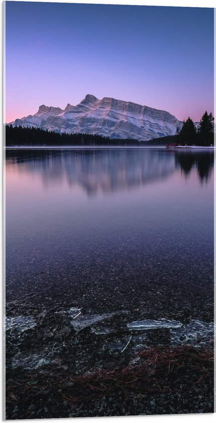 WallClassics - Acrylglas - Grote Berg aan Bevroren Meer met Bomen - 50x100 cm Foto op Acrylglas (Met Ophangsysteem)