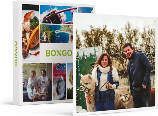 Bongo Bon - FOTOSESSIE TUSSEN DE ALPACA'S - Cadeaukaart cadeau voor man of vrouw