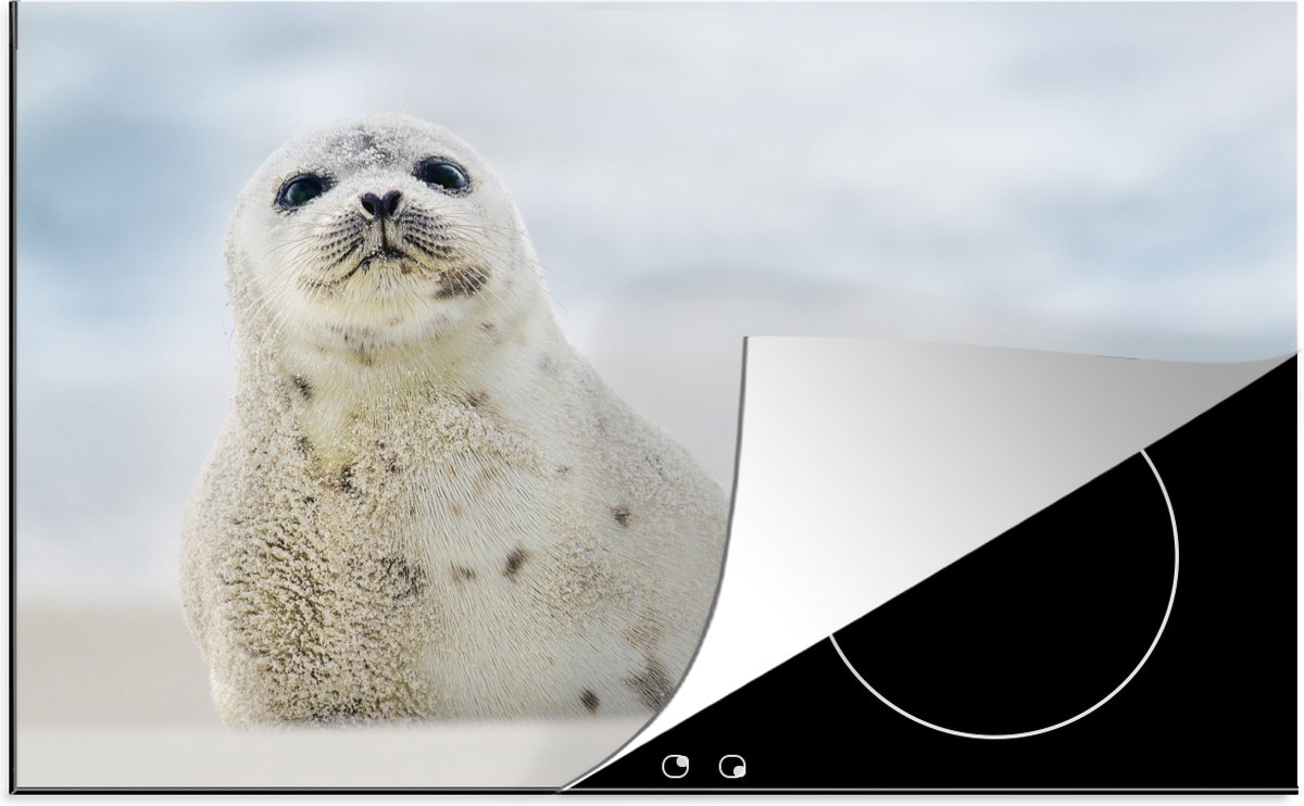 KitchenYeah® Inductie beschermer 81.6x52.7 cm - Jonge zeehond liggend op het zandstrand - Kookplaataccessoires - Afdekplaat voor kookplaat - Inductiebeschermer - Inductiemat - Inductieplaat mat