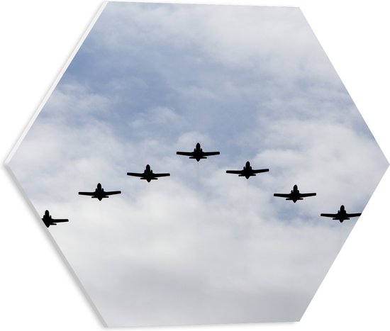 PVC Schuimplaat Hexagon - Groep Vliegtuigen vliegend in V-vorm - 40x34.8 cm Foto op Hexagon (Met Ophangsysteem)