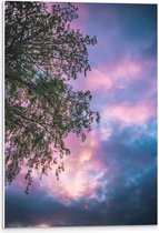 PVC Schuimplaat- Boom met Paars Blauwe Lucht - 40x60 cm Foto op PVC Schuimplaat