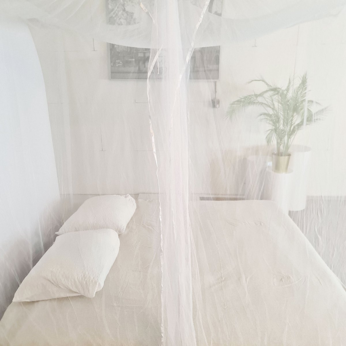 Flystopper Moustiquaire XXL pour lit double 240x220x230 cm, rideau de voyage, 2 entrées, installation facile, sac de transport