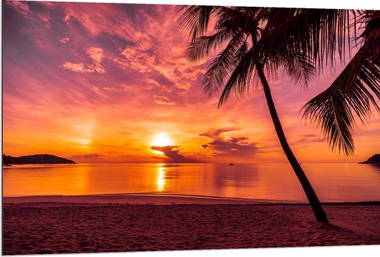 Dibond - Silhouet van Palmboom aan Kalm Water met Zonsondergang - 120x80 cm Foto op Aluminium (Met Ophangsysteem)