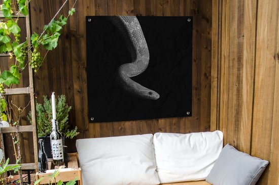 Toile de jardin Animaux - Serpent - Zwart - Wit - Portrait - 100x100 cm