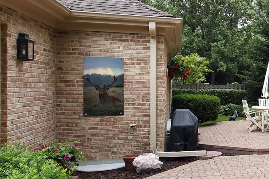 Affiche de jardin Cerf dans le champ 60x90 cm - Toile de jardin / Toile d'extérieur / Peintures d'extérieur (décoration de jardin)