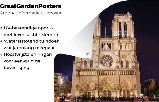Poster de Jardin Notre Dame le soir - 200x200 cm